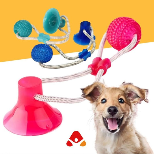 JUGUETE DOG DE PERRO PREMIUN