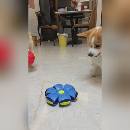 Pelota Mágica Flat - Verde